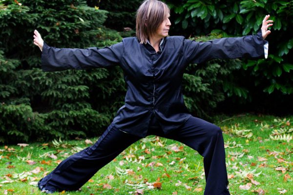 vechtkunst houding van lenig en kracht 50 plusser workshop Kung Fu Flow